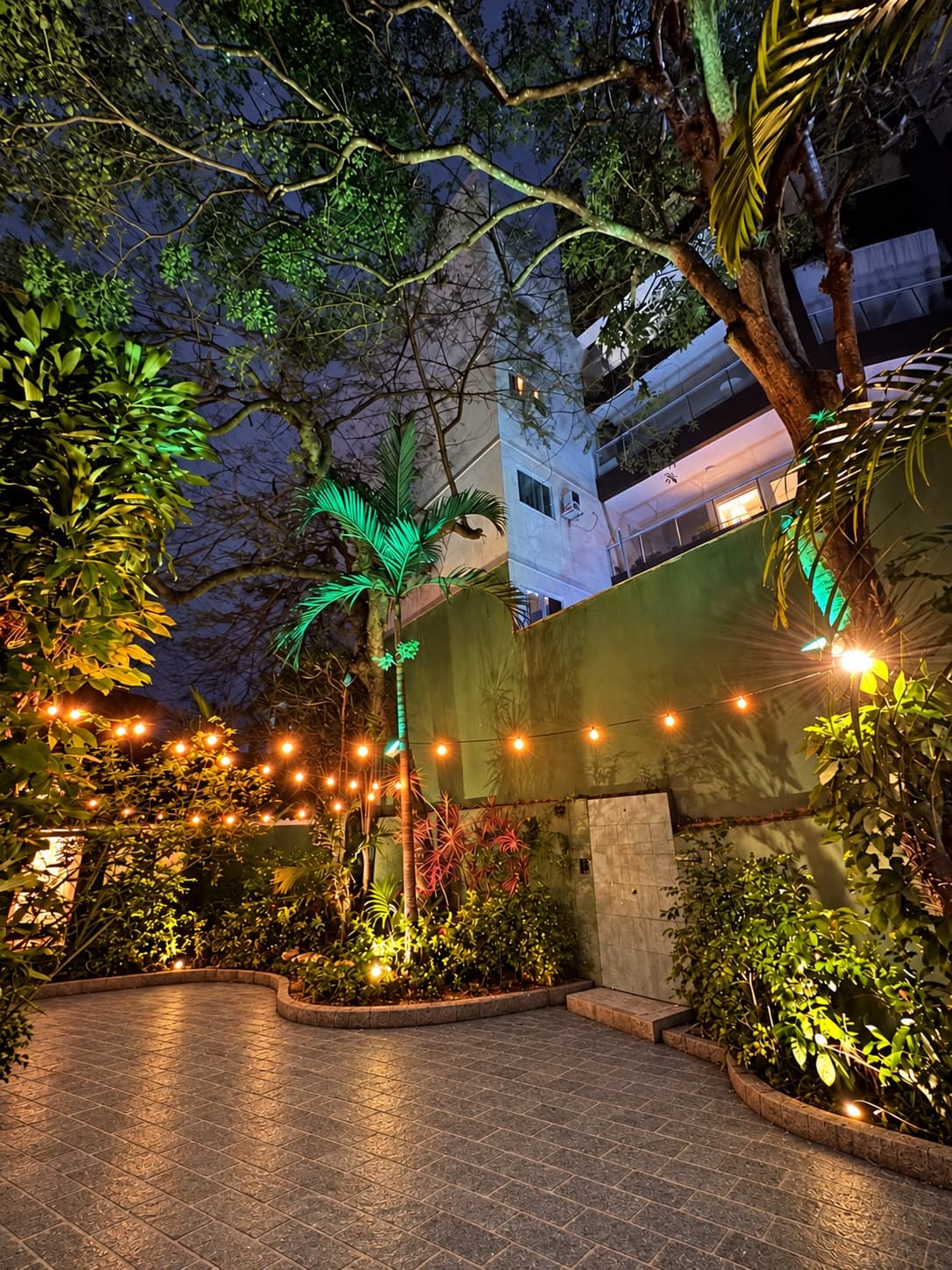 Jardim tropical iluminado à noite com varal de luzes e palmeiras